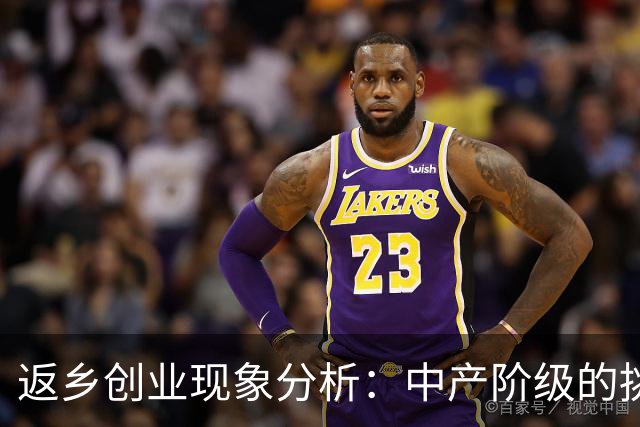 返乡创业现象分析：中产阶级的挑战与机遇